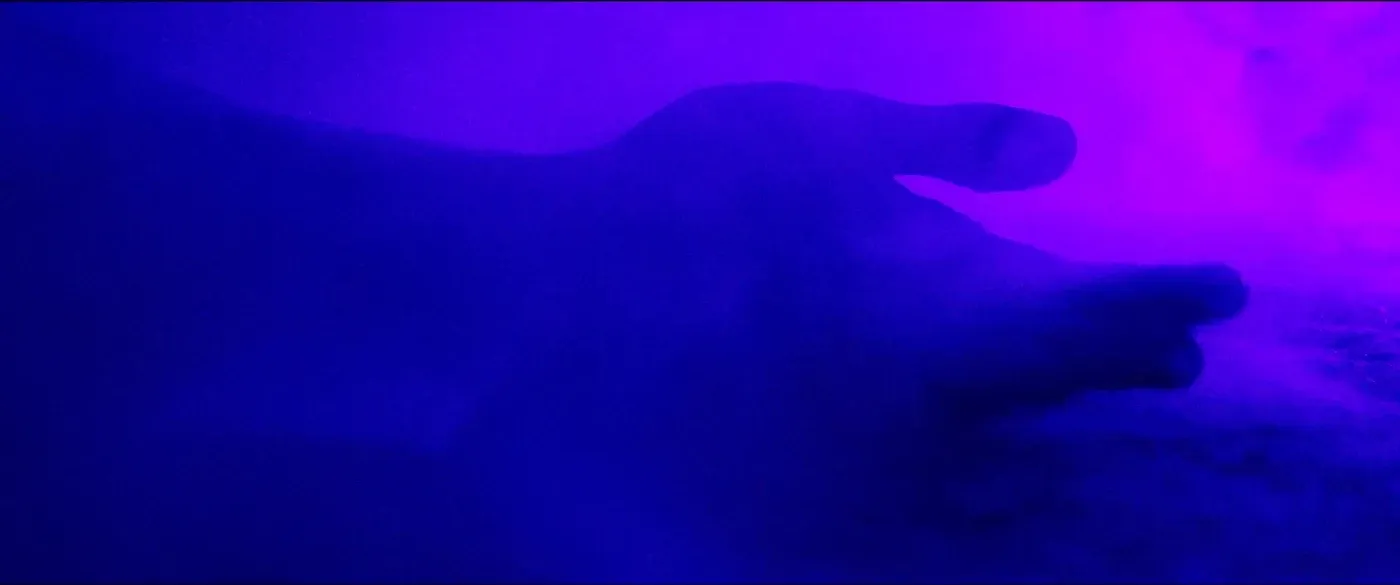 Violet Reach